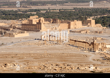 Palmyra. Syria. Panoramic view of the timeless ancient city of Palmyra. Stock Photo