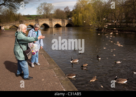 UK, Derbyshire, Peak District, Bakewell, two middle aged women feeding ducks and geese on River Wye Stock Photo