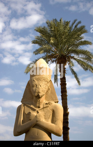 COLOSSAL STATUE OF RAMSES II SITUATED IN THE GREAT COURTYARD OF THE TEMPLE OF KARNAK, IPET SOUT Stock Photo