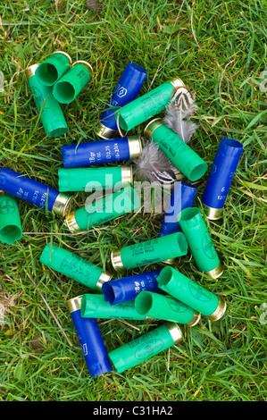 Spent cartridges from 12 bore shotgun (6-28 gm and 28gm 1 ounce) in English countryside Stock Photo