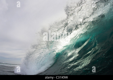 An empty wave breaks at Tavarua, Fiji Stock Photo
