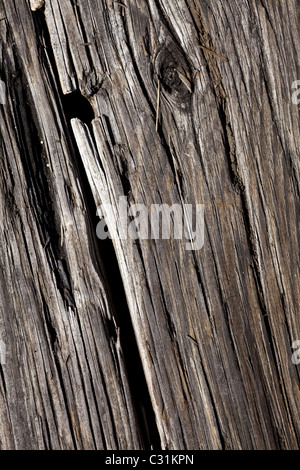 Wood Texture close up for background Stock Photo