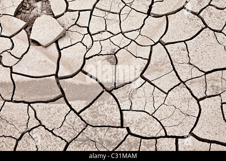 Cracked dry mud at Hot Springs Big Bend National Park Texas USA Stock Photo