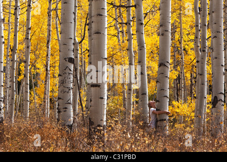 A young woman hugs a large aspen tree in the peak of the fall colors in Colorado. Stock Photo