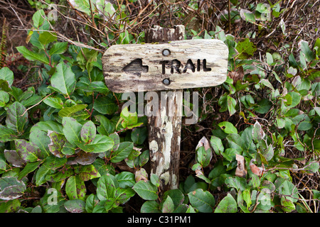 A small wooden sign points to the trail along Third Beach, Olympic National Park, Washington. Stock Photo