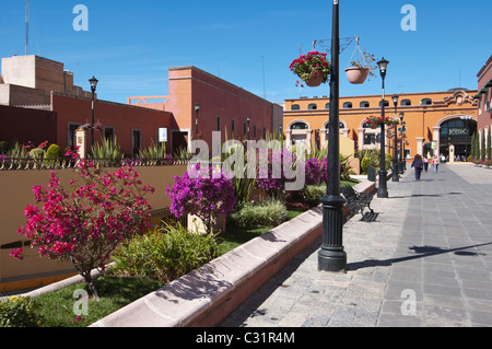 Elk187-2021 Mexico, Estado de Aguascalientes, Aguascalientes, Plaza Patria, downtown shopping mall Stock Photo