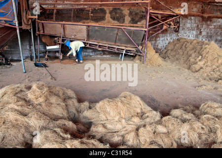 THE PRODUCTION OF COCONUT FIBER FOR MAKING MATTRESSES, BANG SAPHAN, THAILAND, ASIA Stock Photo