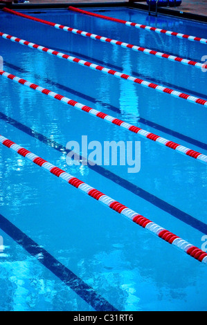 indoor swimming pool with ropes and lanes Stock Photo