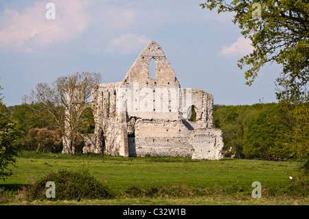 Newark Priory near Ripley, Surrey, England Stock Photo