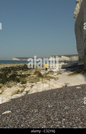 Looking towards the Seven Sisters cliffs and Cuckmere Haven from the beach near Birling Gap in the South Downs National Park. Stock Photo