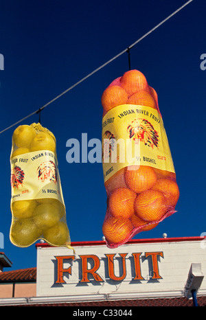 Colorful sacks of famed Indian River grapefruits and oranges attract travelers to one of the roadside citrus stands near St. Augustine in Florida, USA. Stock Photo