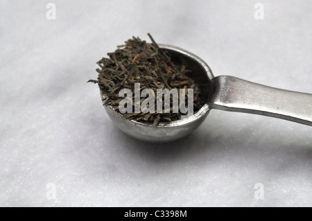 Dried dill weed spice on a white background in a measuring spoon Stock Photo