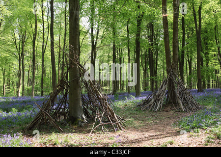 Two shelters / hides amongst the bluebells in West Woods, Marlborough, Wiltshire Stock Photo
