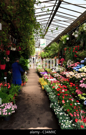 A garden center on the Ile de la Cite, Paris, France Stock Photo
