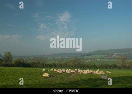 A tranquil early morning scene in the Arun valley at Burpham, West Sussex. Stock Photo