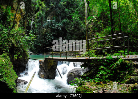 Mineral spring at Cranbrook Flower Forest, St Ann, Jamaica Stock Photo