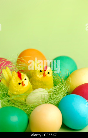 Colorful Easter eggs and two decorative chicks in a nest Artistic still life isolated on light green background Stock Photo