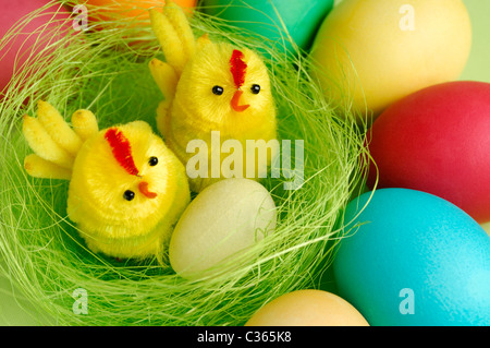 Colorful Easter eggs and two decorative chicks in a nest festive still life Stock Photo