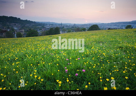 Wildflowers on Bathwick Hill in Spring with Bath in the Distance. Bath. Somerset. England. UK. Stock Photo