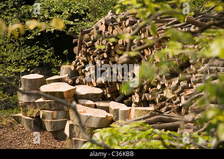 chopped wood stacked Stock Photo