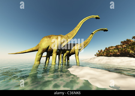 Two Diplodocus dinosaurs wade through shallow waters to get to the vegetation on this island. Stock Photo