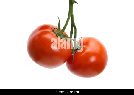 Red Tomato with white background Stock Photo
