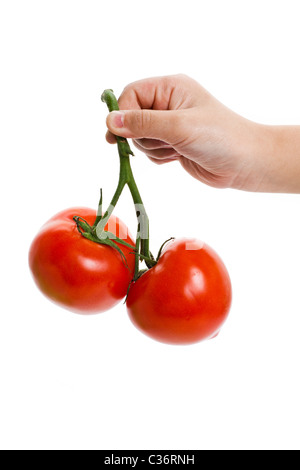 Red Tomato with white background Stock Photo