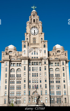 The Royal Liver building, Liverpool, England. Stock Photo