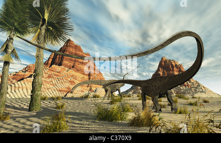 Two Diplodocus dinosaurs search for food in a desert landscape. Stock Photo