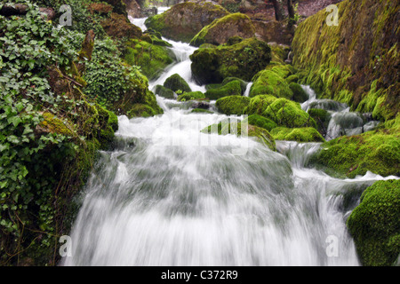 picturesque waterfall among green walls Stock Photo