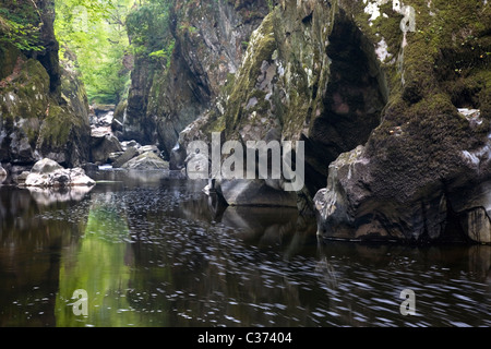 The River Conwy flowing through 'The Fairy Glen' near Betwys-Y-Coed, Snowdonia National Park, North Wales, UK Stock Photo