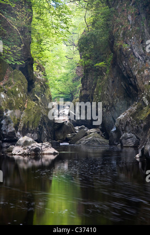 The River Conwy flowing through 'The Fairy Glen' near Betwys-Y-Coed, Snowdonia National Park, North Wales, UK Stock Photo