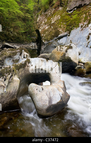 The River Conwy flowing through 'The Fairy Glen' near Betwys-Y-Coed, Snowdonia National Park, North Wales, UK Stock Photo