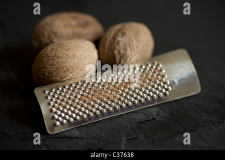 Nutmeg Stock Photo