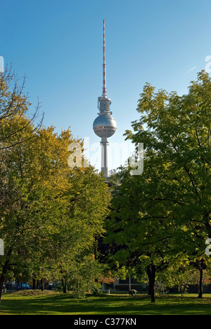 the Berlin television tower stands between green trees Stock Photo