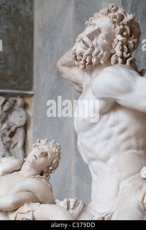 The statue of Laocoon and His Sons, also called the Laocoon Group
