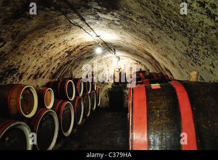 Wine cellar, Zakarpattia province, western Ukraine Stock Photo