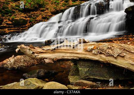 Dead tree in front of Beecher Creek Falls, Adirondack. New York. Stock Photo