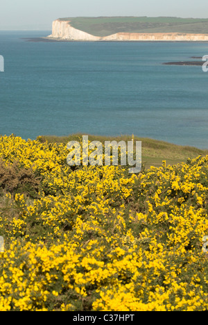 Looking out towards the Seven Sisters cliffs and Cuckmere Haven in the South Downs National Park. Stock Photo