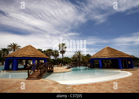 Modern and luxurious swimming pool - Lifestyle concept Stock Photo