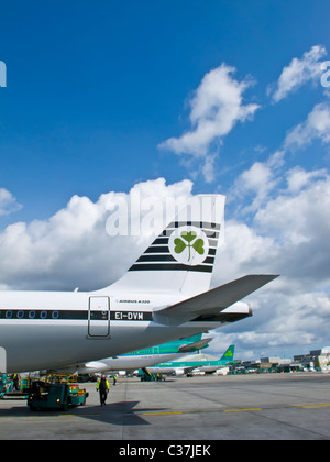 Aer Lingus Airbus A320 painted in the former 1960s Irish international livery, to mark its 75th anniversary on 27 May 2011 Stock Photo