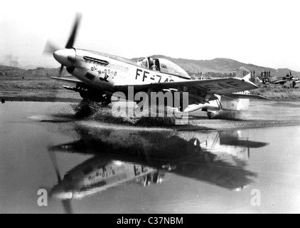 F-51 Mustang, F-51D Mustang Stock Photo