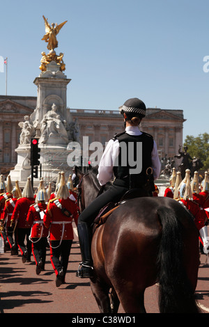 Mounted Police Horse, [Changing of the Guard], 'Buckingham Palace', London, England, UK Stock Photo