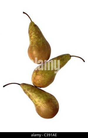 Three pears arranged in a still life composition isolated on a white background Stock Photo