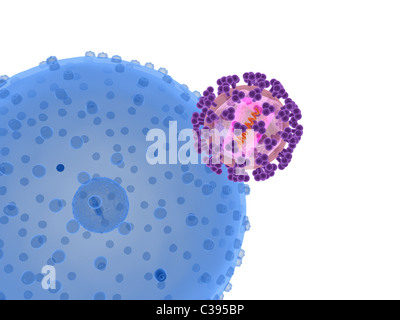 hi virus infecting cell Stock Photo