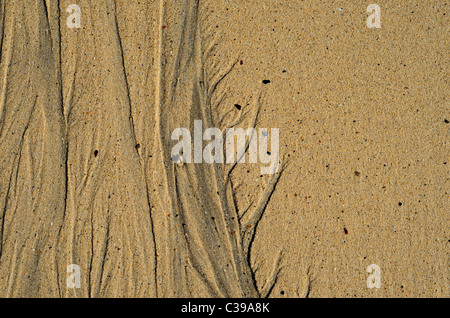 patterns in the sand caused by water run off as the tide retreats Stock Photo