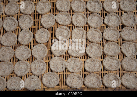 Sticky rice cakes drying in the sun in Luang Prabang in Laos Stock Photo