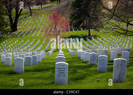 Arlington National Cemetery in Arlington, Virginia Stock Photo
