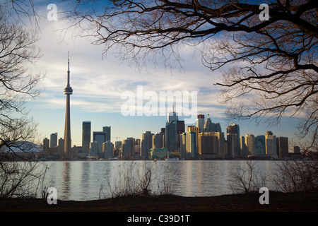 Downtown Toronto skyline, including CN Tower and Rogers Center, as seen in the late afternoon from Centre Island Stock Photo