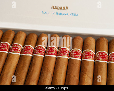 Cuban Cigars Stock Photo